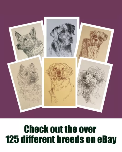 Kerry Blue Terrier Dog Art Portrait Print #34 Kline adds your dogs name free. 3