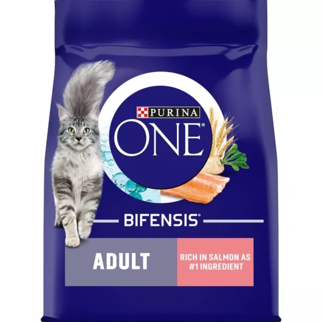 PURINA ONE Adult Salmon & Whole Grains Dry Cat Food Bifensis Dual Defense