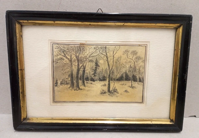 Antico Disegno A Carboncino Fine '800 - Bosco Paesaggio