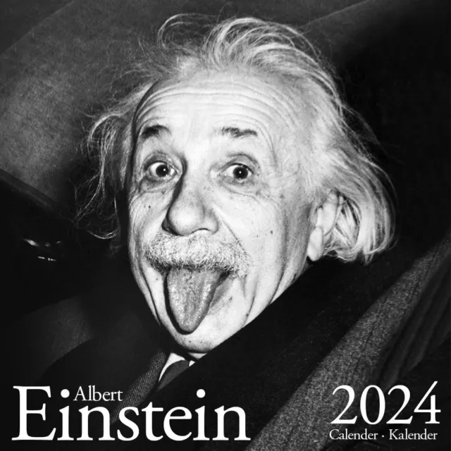ALBERT EINSTEIN KALENDER 2024 EUR 17,72 PicClick FR