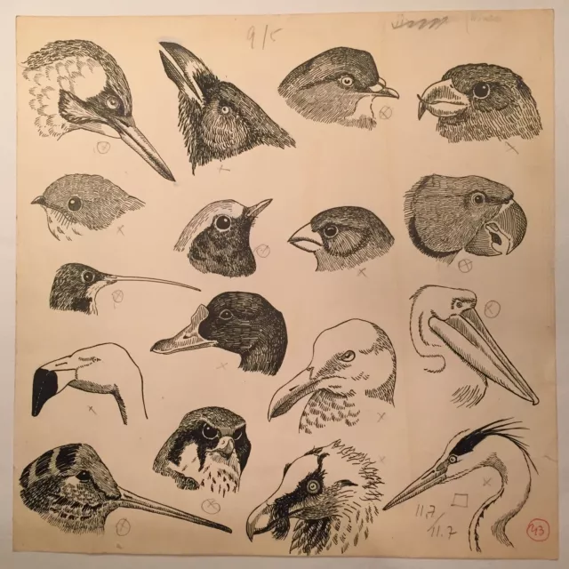 Aves. Pierre Monnerat (Lausana, Suiza 1917-España 2006). Original 30 X 30 cmts.