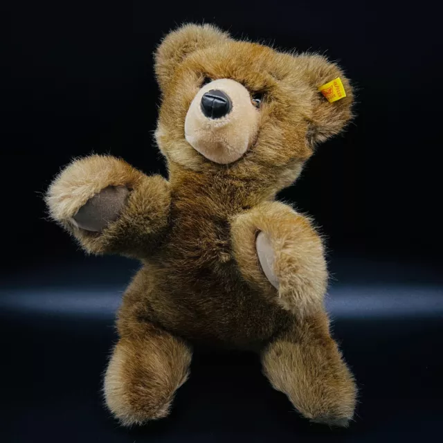 STEIFF Teddy MOLLY BÄR | 0330/32 | KF | Jahr 1984 | 30 cm | Guter Zustand