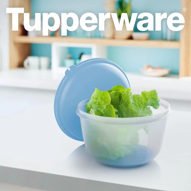 TUPPERWARE FRISCHE PAVILLION 2,0L in Blau mit Gittereinsatz NEU EUR 19