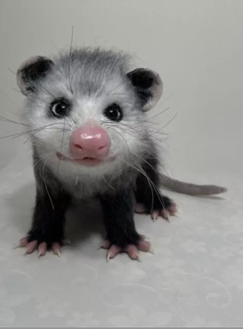 Unique OOAK Opossum~Realistic Artist Collector Felted Wool Animal Sculpture 2