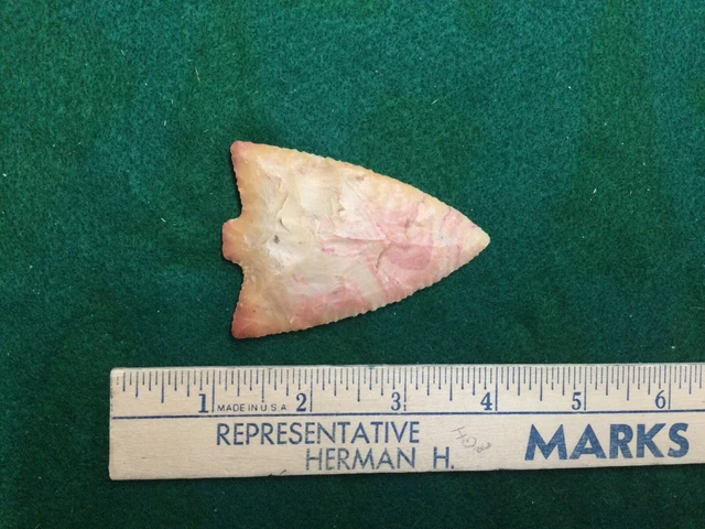 Coral Hillsboro Arrowhead