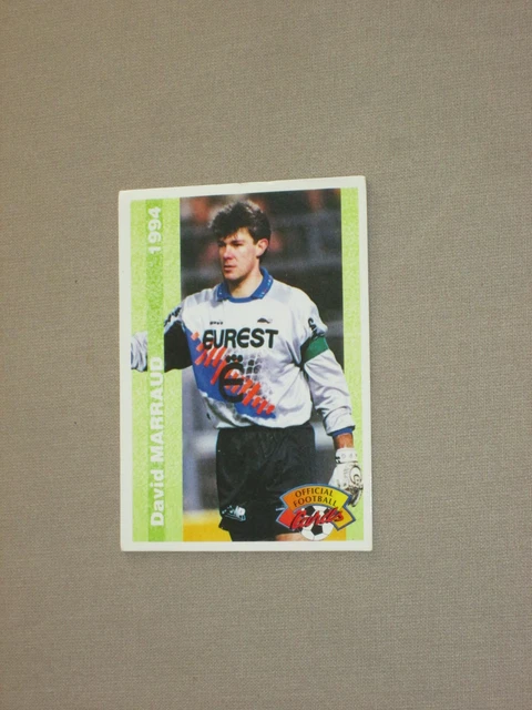CARTE FOOT PANINI - OFFICIAL FOOTBALL CARDS - 1994