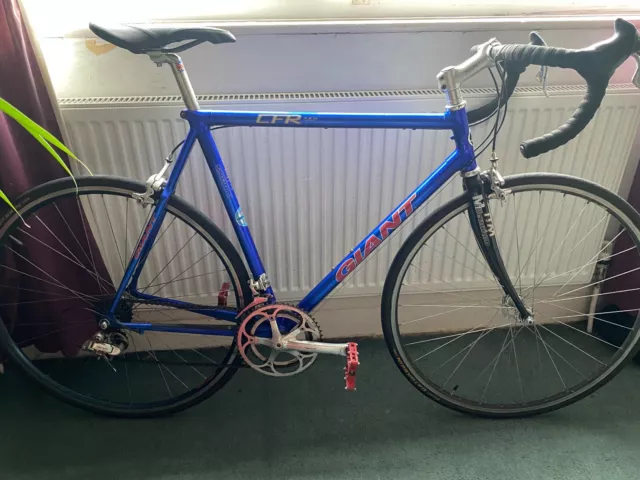 Giant sale cfr pro