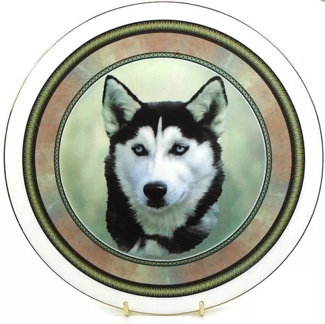 Dog Plates S - Y ~ choose your breed from the drop down list