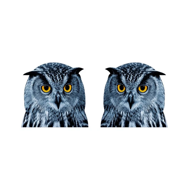 Car Truck Window Glass Sticker Owl Animal Styling Decoration Decal Accessories