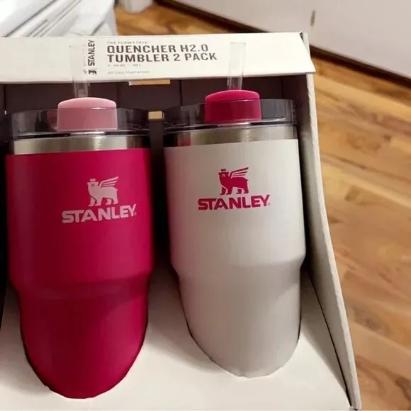 Stanley 2 pk 20 oz. Stainless Steel H2.0 Flowstate Quencher Tumblers Pink  Vibes/Frost 