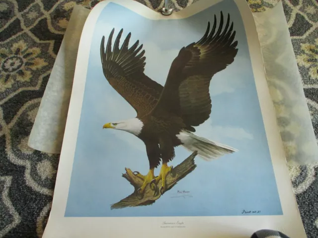 Vintage Ray Harm American Eagle Large Print 1971