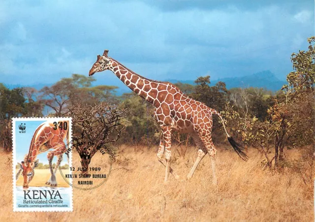 E0008 WWF Maximum Card 1989 Fauna Animals Kenya Reticulated Giraffe