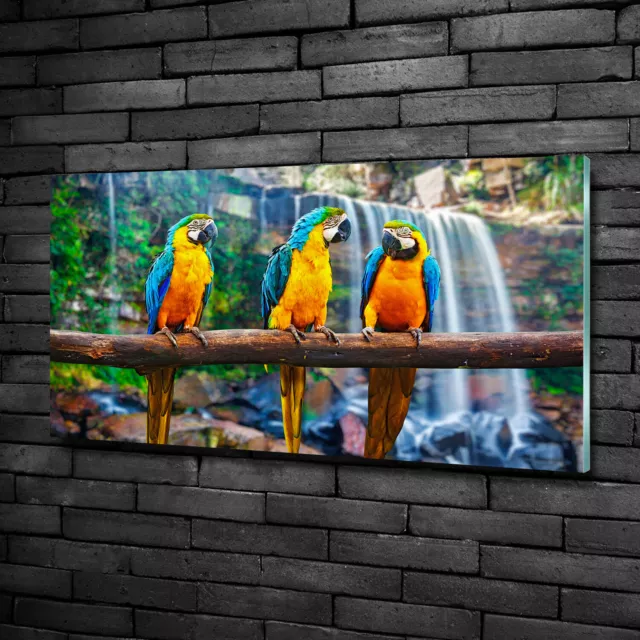 Wandbild aus Plexiglas® Druck auf Acryl 100x50 Tiere Papageien auf Ast