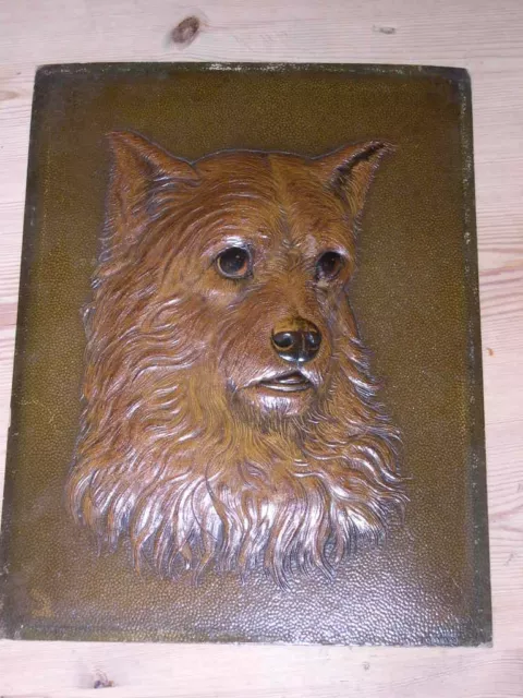 Orig Large Antique Norwich Terrier Dog Picture / Painting 1910