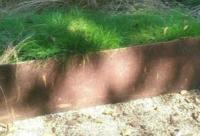 Bordo Prato cortenstahl elegante ruggine mähkante bordatura delle aiuole acciaio Corten Ruggine gregge 1 