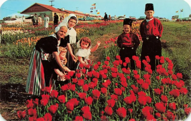 Postcard Tulip Time in Holland Michigan MI Vintage