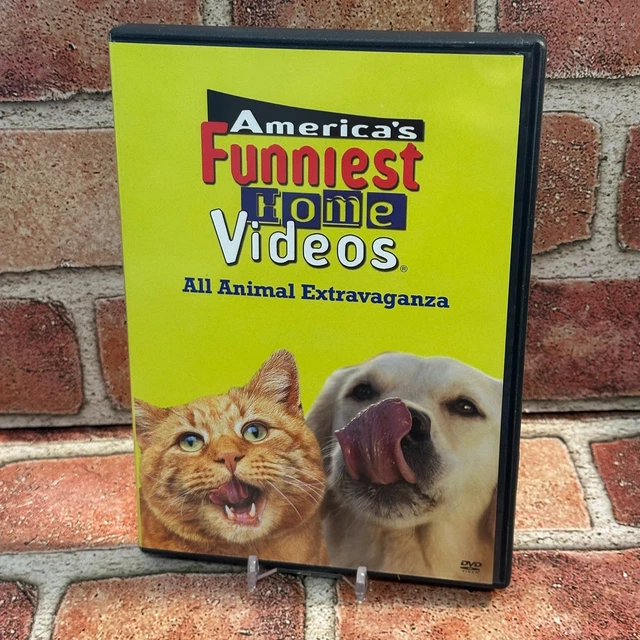 Dvd America's Funniest Animals Americas Funniest Home Videos