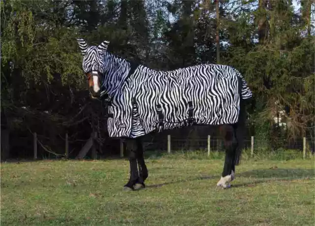 Zebra  MESH HORSE FLY RUG  FREE Face Mask Jump Combo Full Neck  Anti Rub Lining