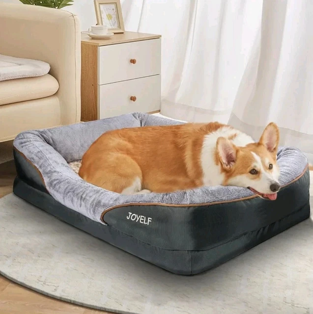 Memory Foam Large Dog Beds With Washable Covers Casa Paw Large Dog