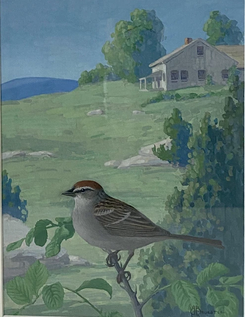 Original Bird Art Painting - Sparrow by Bertram Bruestle, Signed, C1930, Framed