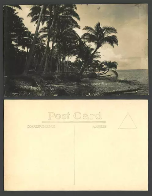 Singapore Old Real Photo Postcard Tanjong Katong Beach Palm Trees Seaside Malaya