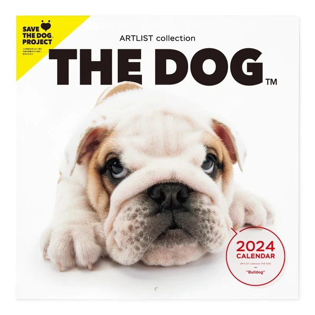 PSL THE DOG 2024 Calendar Large Size (Bulldog) With Original Sticker