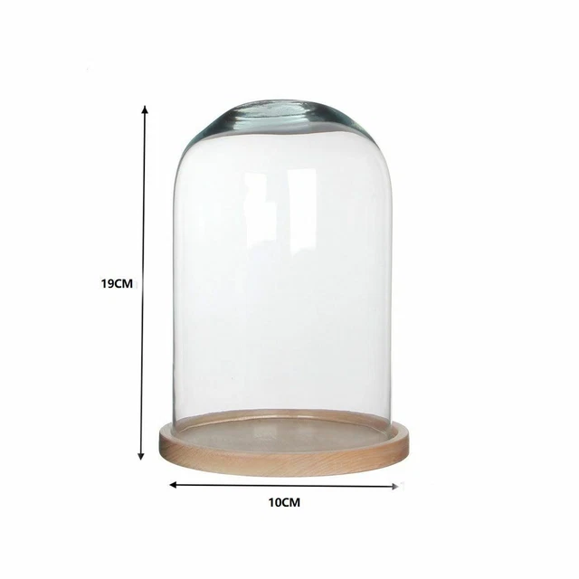7,1" X3,5 Clair Cloche Verre Dôme, Verre Cloche Pot