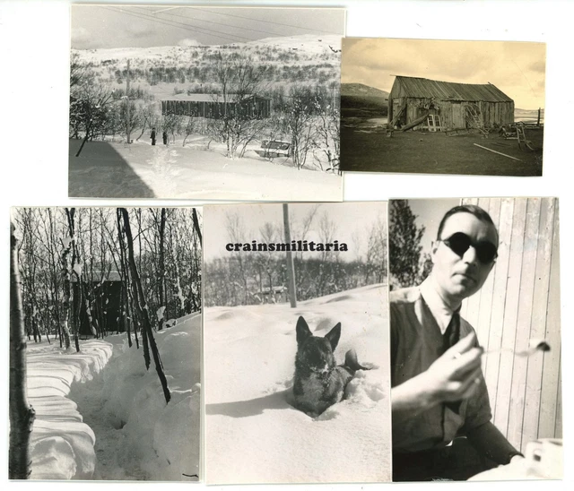 5x Orig. Foto Lager Piloten 1.(F)/124 am Flugplatz KIRKENES Norwegen 1942 Hund
