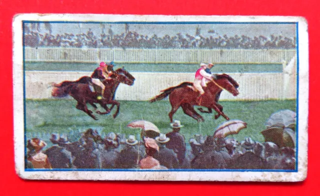 1911 Sniders & Abrahams "Australian Racing Scenes" Card: WILLIAMSTOWN CUP FINISH