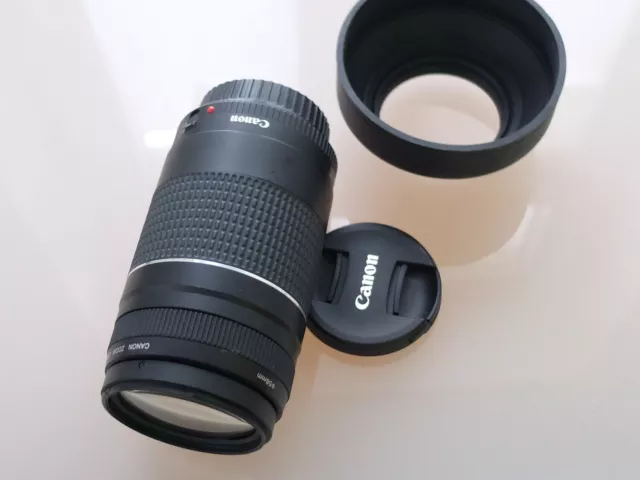 Canon EF 75-300 mm F/4.0-5.6 III Objektiv , vom Händler ...#