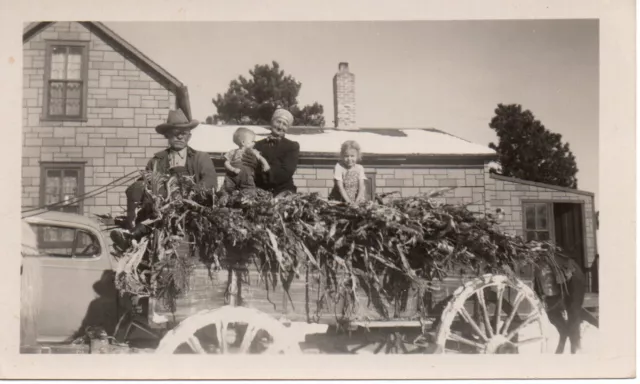 Snapshot Photo Texas Grandparents with Children and Harvest Wagon c.1930s
