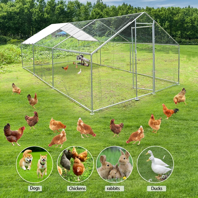 20X10FT METAL CHICKEN Coop Walkin Run Enclosure Poultry Hen Run House