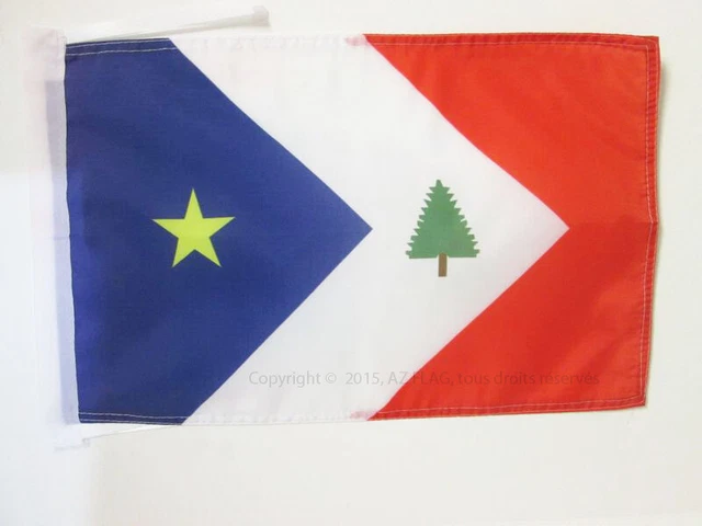 Drapeau Gouvernement De Venise 45x30cm - Pavillon Révolutions Italie 1848 - AZ FLAG