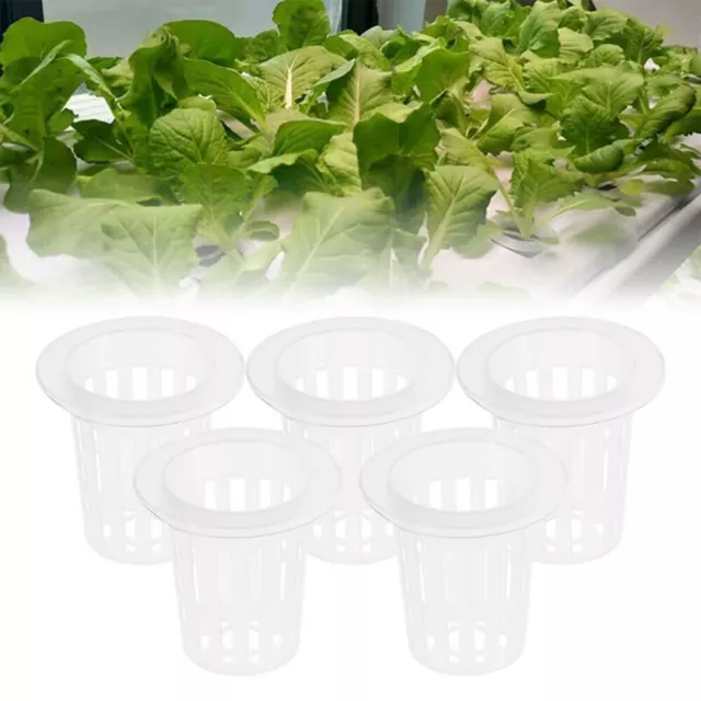 Lot de 100 pots en maille fendue robustes pour culture hydroponique de légumes