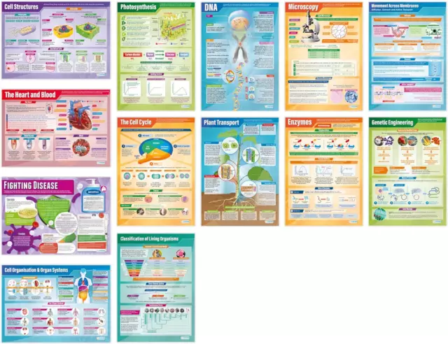 Daydream Education Biologie Poster - 13er Set | Wissenschaftsplakate | Hochglanzpapier x