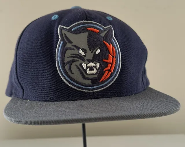 Mitchell And Ness Charlotte Bobcats Hat Cap NBA SnapBack Blue Grey