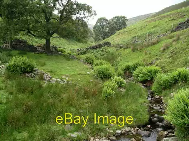 Photo 6x4 Stoney Cleuch, Dryhopehope Looking up the valley from the track c2006