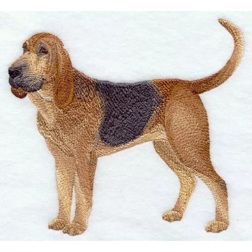 Embroidered Ladies Jacket - Bloodhound C9625 Sizes S - XXL