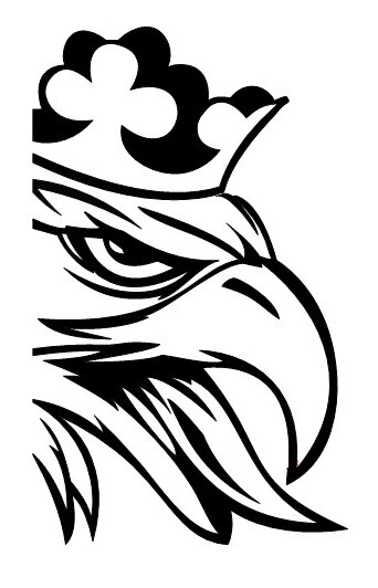 2 Autocollants Vinyle Personnalisables Pour Casque - Drapeau Tortue - Pour Cyclistes