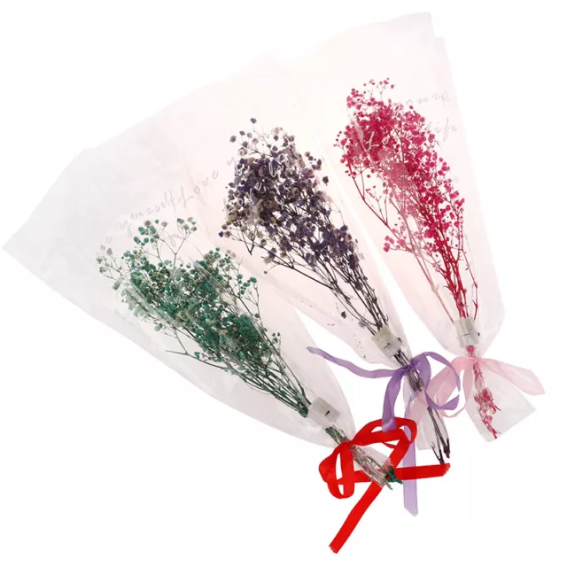 Home Decoration Real Flower Natural Dried Bouquets Plant Stems Mini Babysbreath