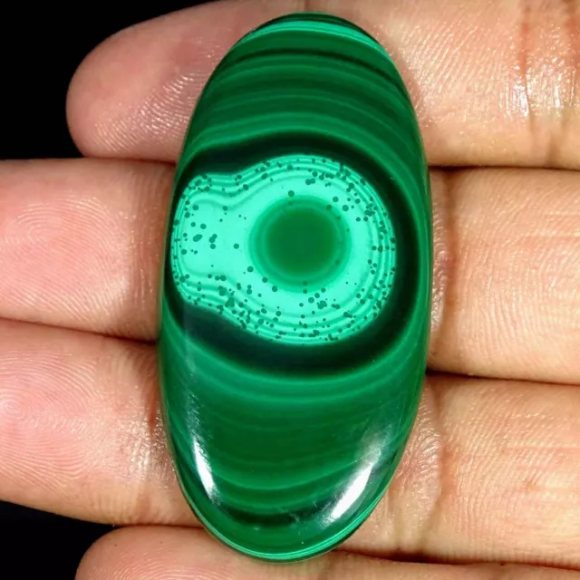 99.80Cts Natural Green Malachite Oval Cabochon Loose Gemstone