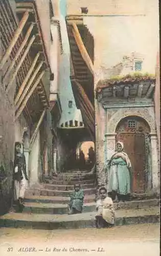 Algeria - CPA - Algiers - Rue Du Camel