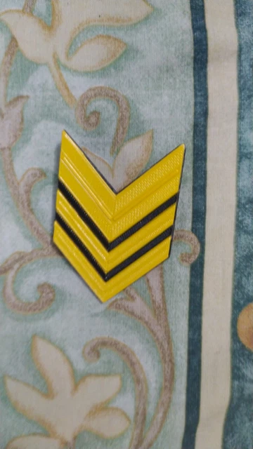 Il Comando Sergente Maggiore Del Comando Delle Forze Dell'esercito Degli Stati Uniti, Comando - Foto 5