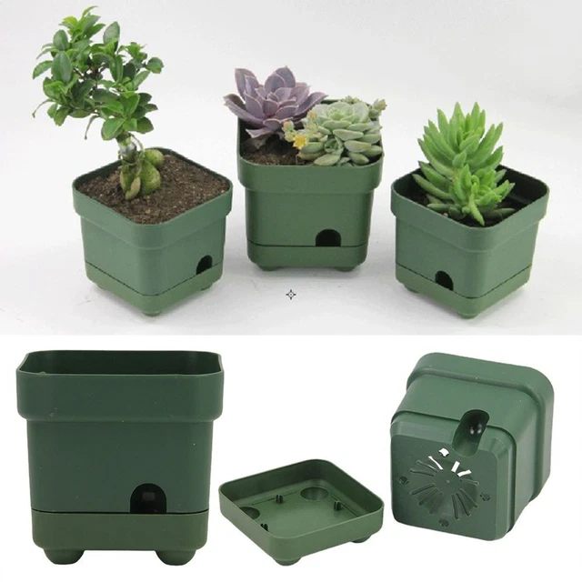 Plastique Accueil Pots de fleurs Pot de Plante Boîte succulente Planteur