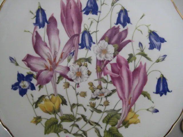 Royal Albert Collectors China Plate Britains Wild Flowers Meadowland Crocuses 2