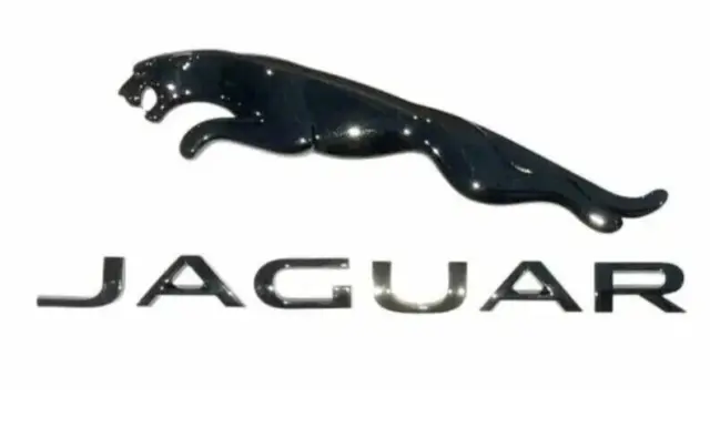 Jaguar Black  Cat 16.5 Boot Emblem Logo Script 18.5 Badge  F X S TYPE XF XJ E XE