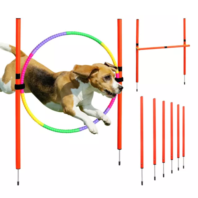 Dog Agility Hurdle Cone Set Portable Canine Jump Ring Training Course Equipment