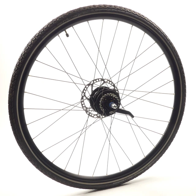 Alexrims EX 21 Laufrad Hinten 29 ", Shimano Getriebenabe #10737