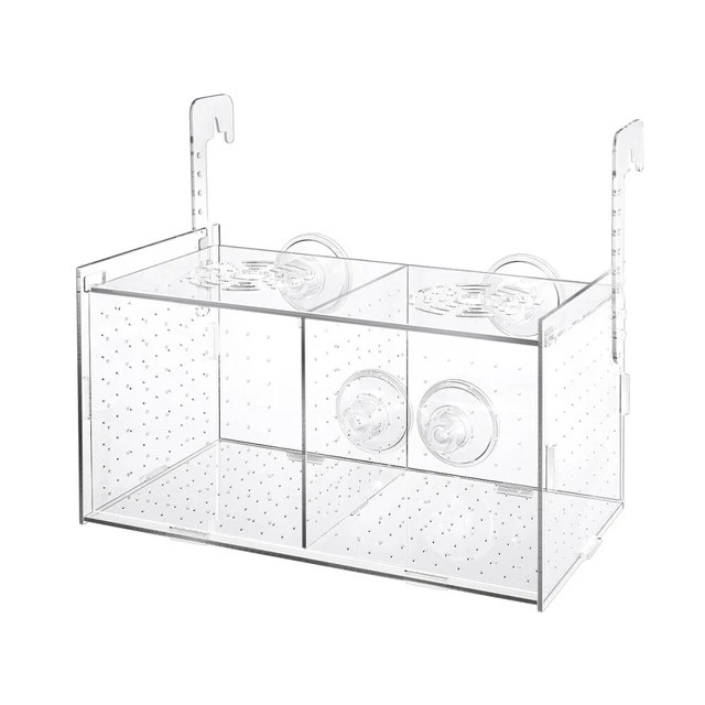 POPETPOP Transparente Acryl-Fischzuchttank-Isolationsbox Aquarium Incubator Hatc