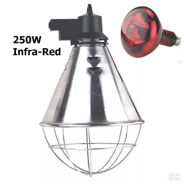 INFRA RED HEAT LAMP BULB Ruby 250w For Chicks Dogs Puppies Cats Infrared OPTIONS